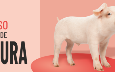 Programa final do XI Congresso da SCS